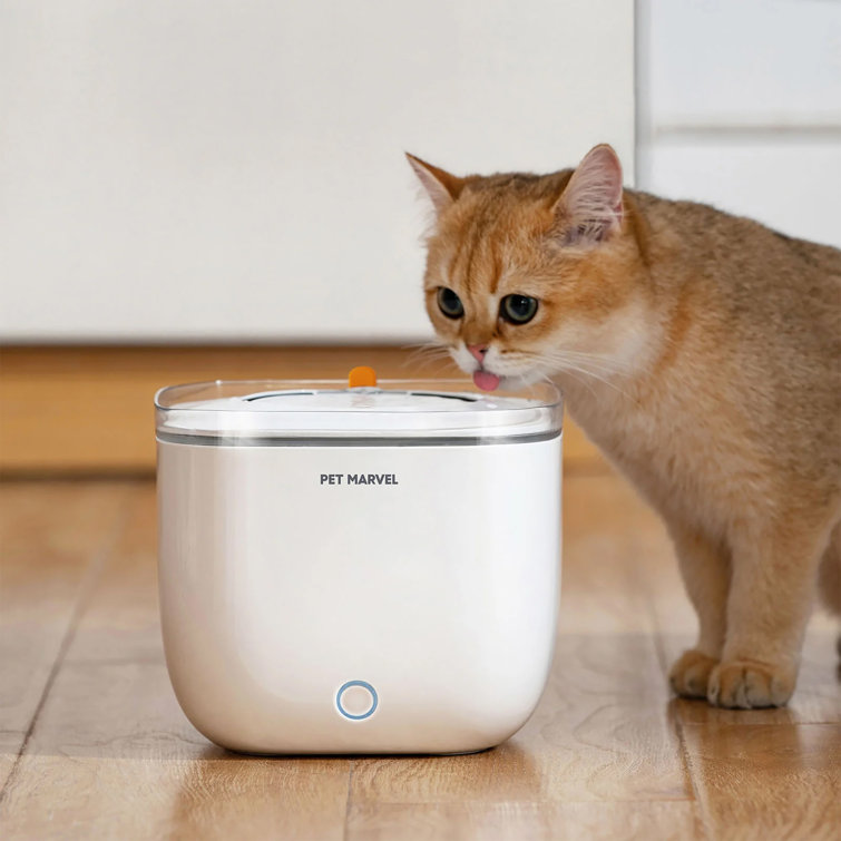 Dog water dispenser pets at clearance home